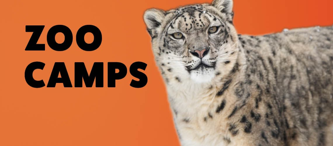 Zoo Camps 2026