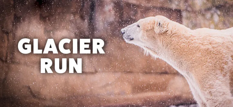 Glacier Run